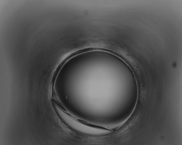 X0000097971272200804011712