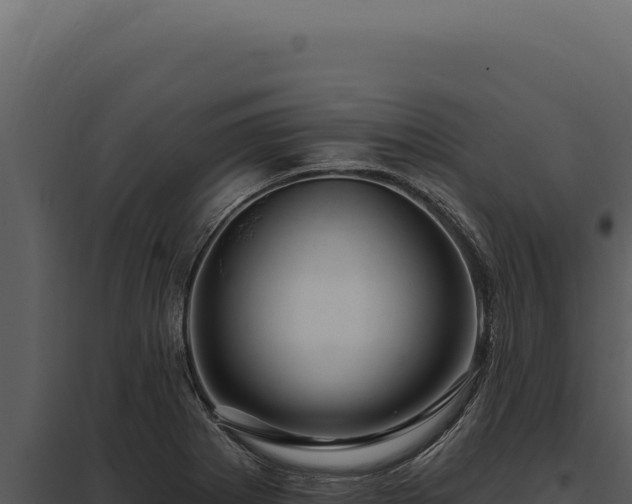 X0000097971273200804011712