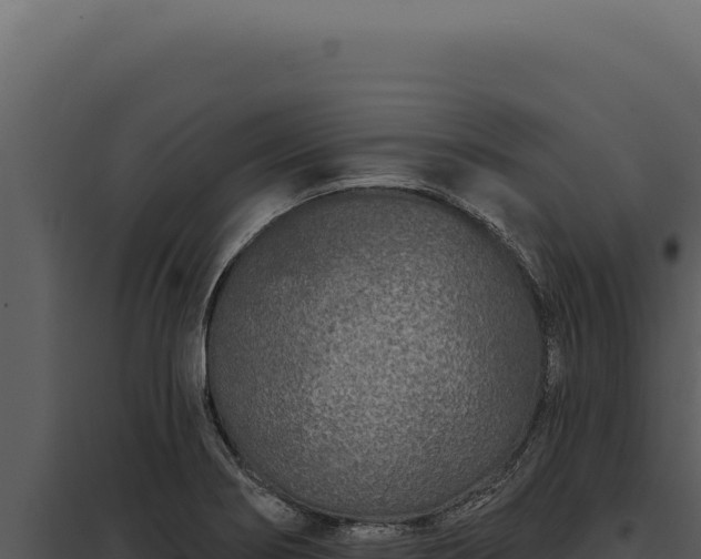 X0000097971274200804011712