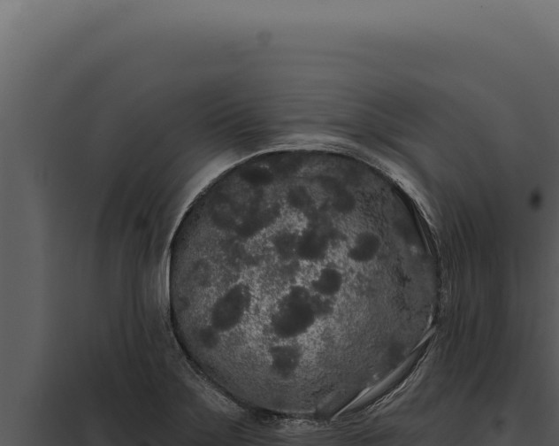 X0000097971275200804011712