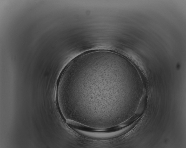 X0000097971276200804011712