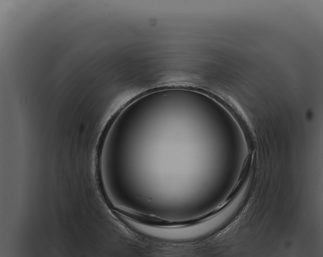 X0000097971277200804011712