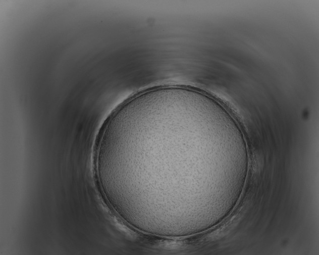X0000097971278200804011712