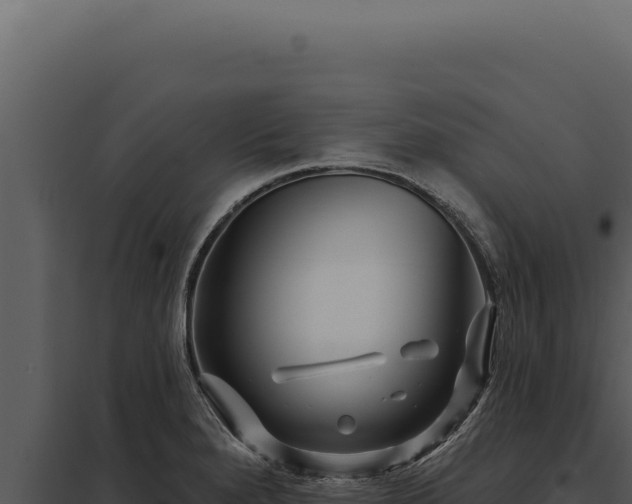 X0000097971280200804011712