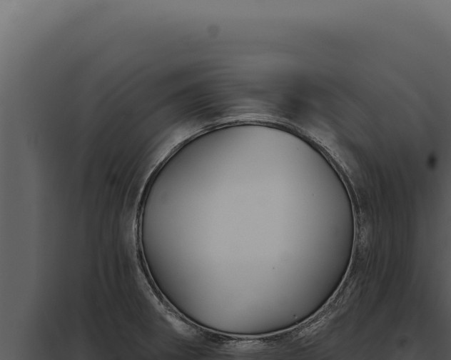 X0000097971282200804011712