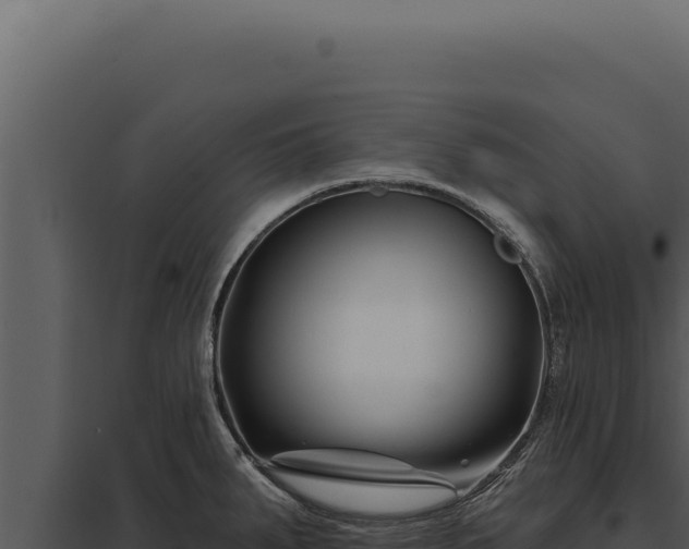 X0000097971287200804011712