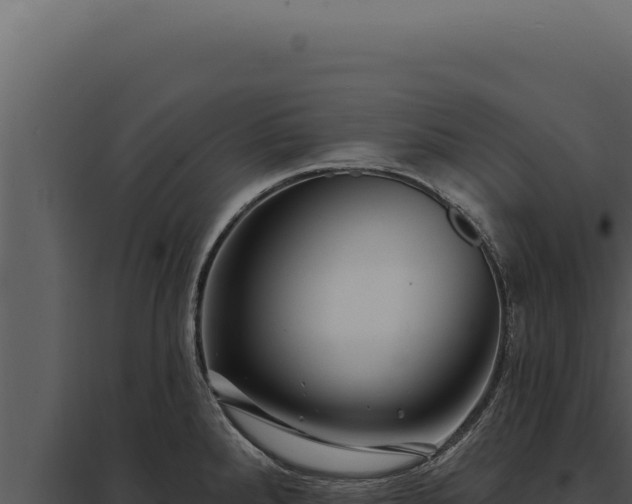 X0000097971288200804011712