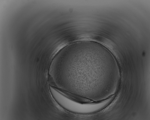 X0000097971289200804011712