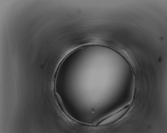 X0000097971292200804011712