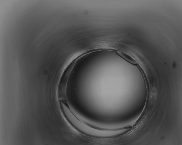 X0000097971293200804011712