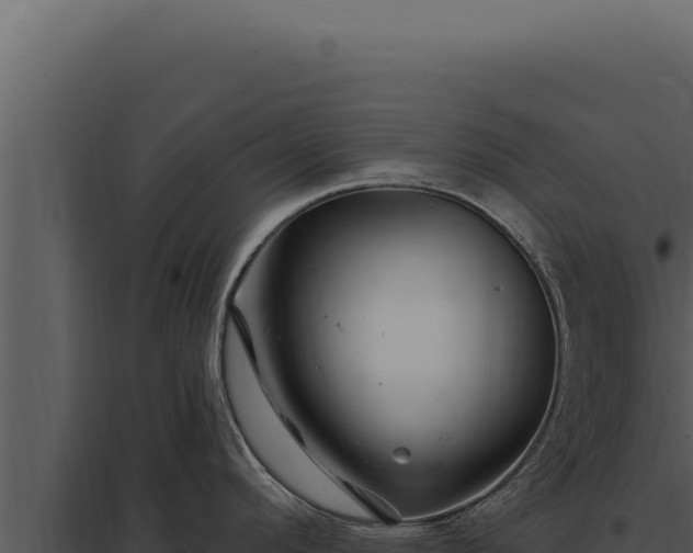 X0000097971296200804011712
