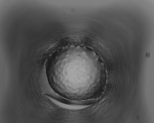 X0000097971297200804011711