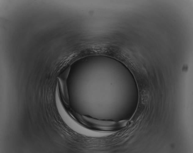 X0000097971298200804011711