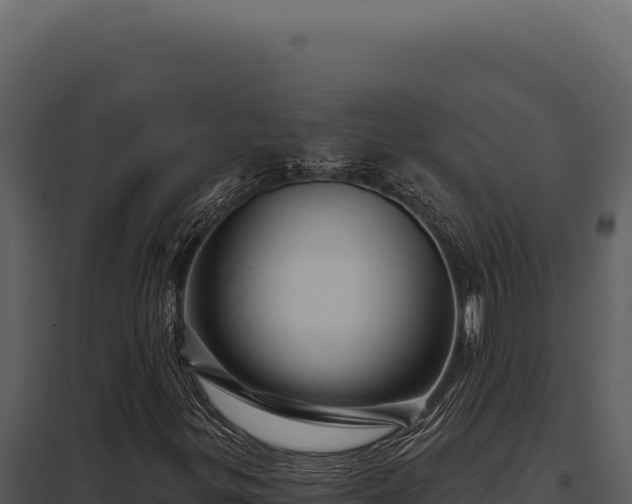 X0000097971299200804011711
