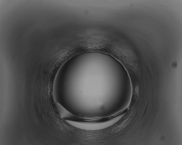 X0000097971300200804011711