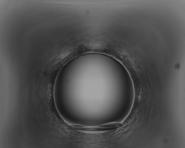 X0000097971301200804011711