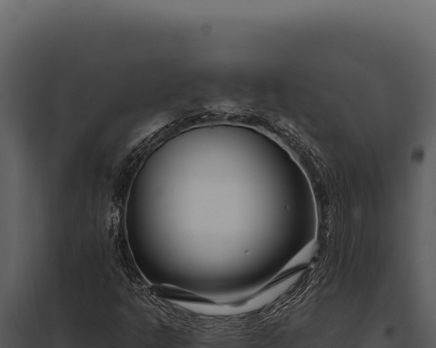 X0000097971302200804011711
