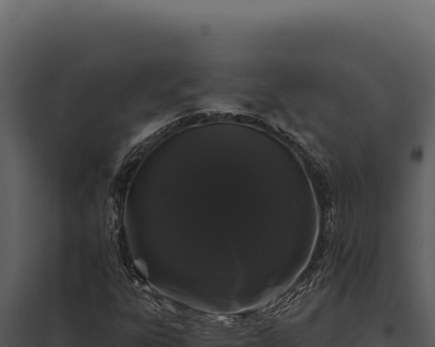 X0000097971303200804011711