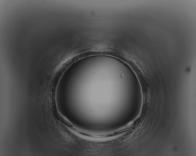 X0000097971304200804011711