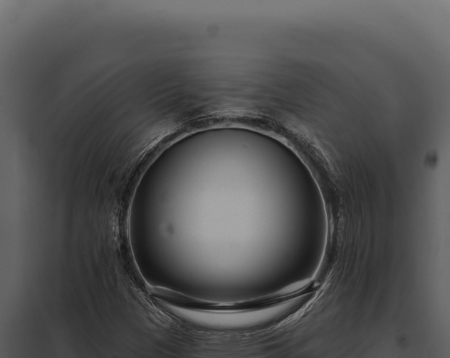 X0000097971305200804011711