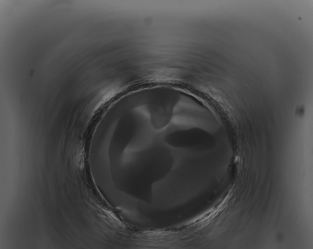 X0000097971306200804011711
