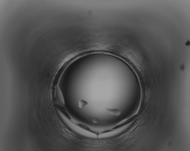 X0000097971308200804011711