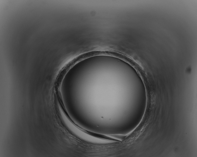 X0000097971311200804011711