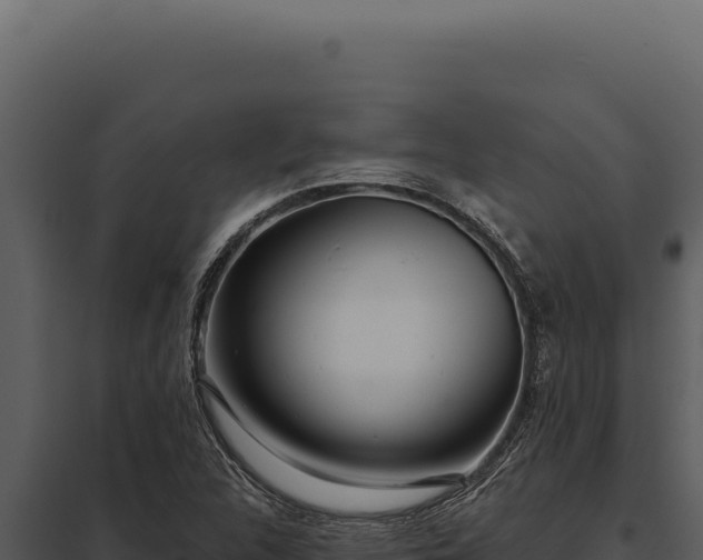X0000097971312200804011711