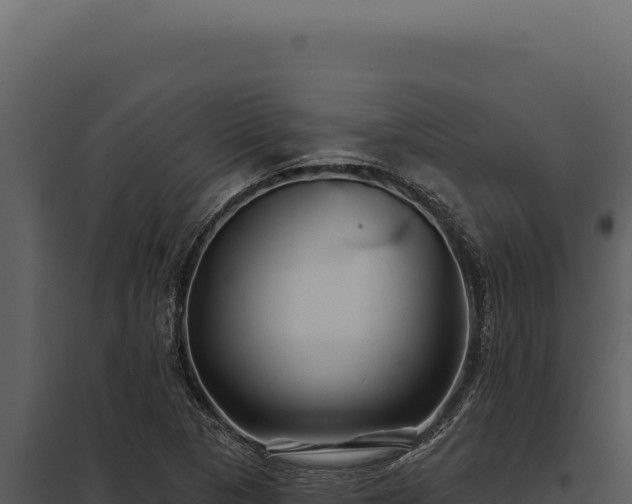 X0000097971313200804011711