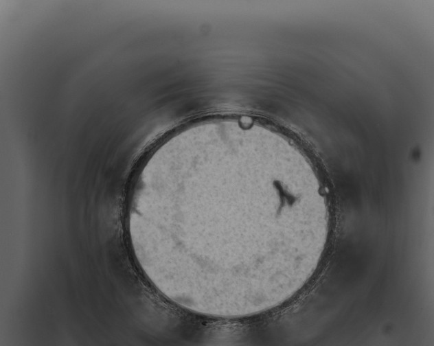 X0000097971314200804011711