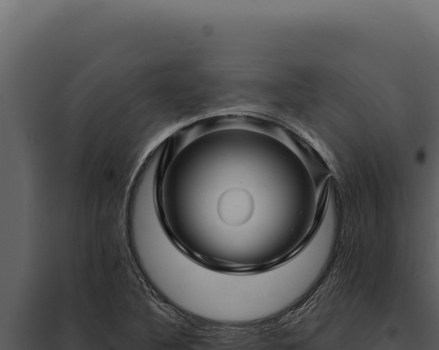 X0000097971316200804011711