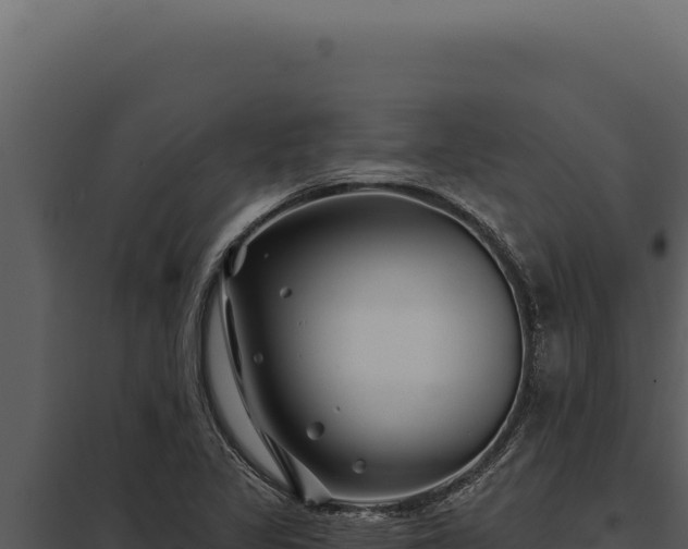 X0000097971317200804011711