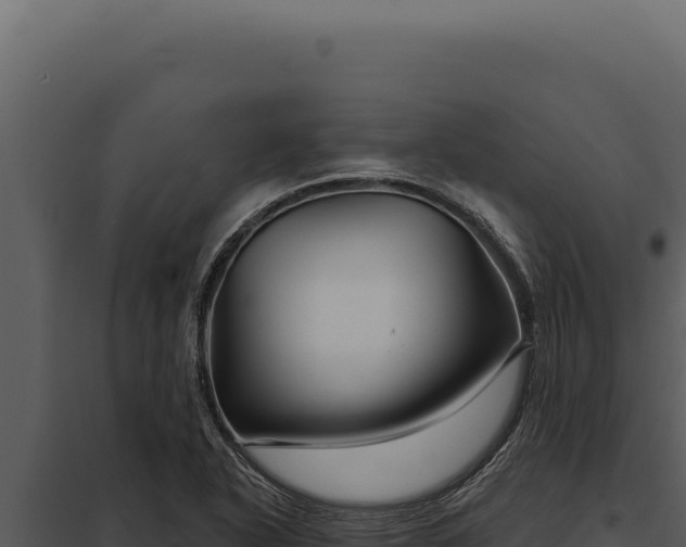 X0000097971318200804011711