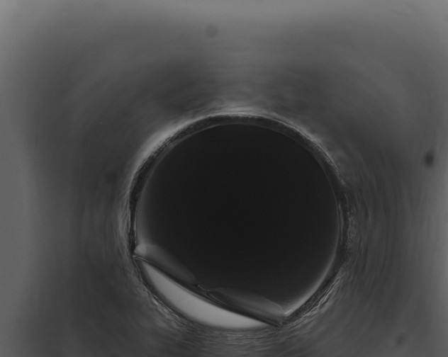 X0000097971319200804011711