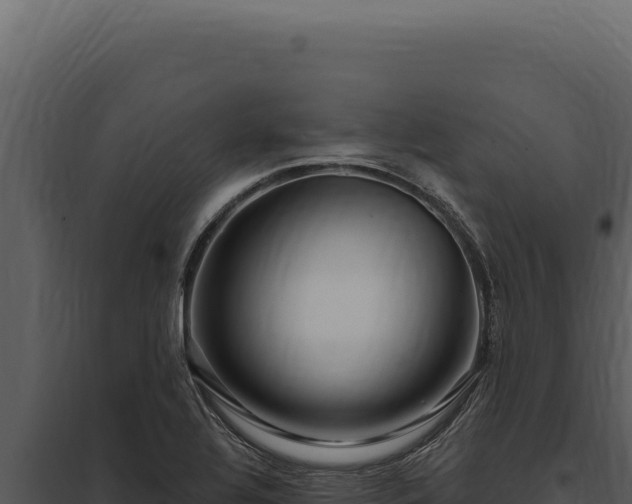 X0000097971320200804011711