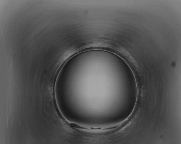 X0000097971321200804011711