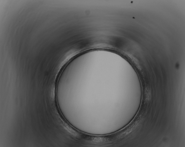X0000097971322200804011711