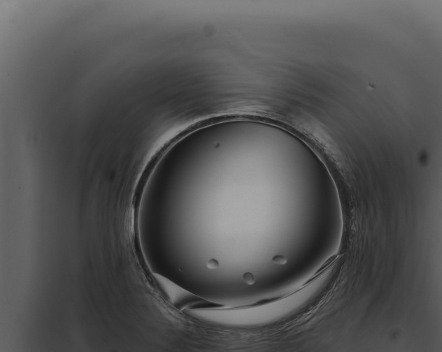 X0000097971324200804011711