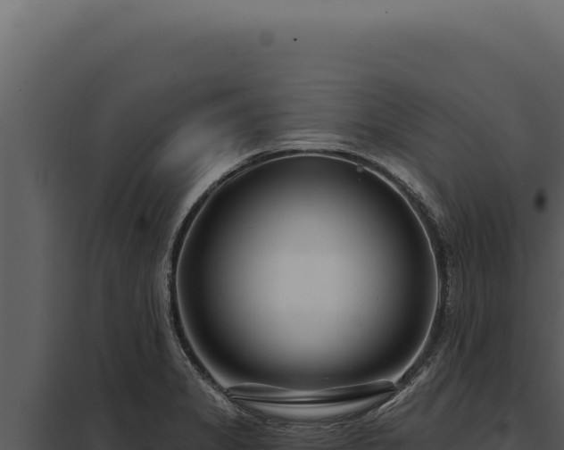 X0000097971325200804011711