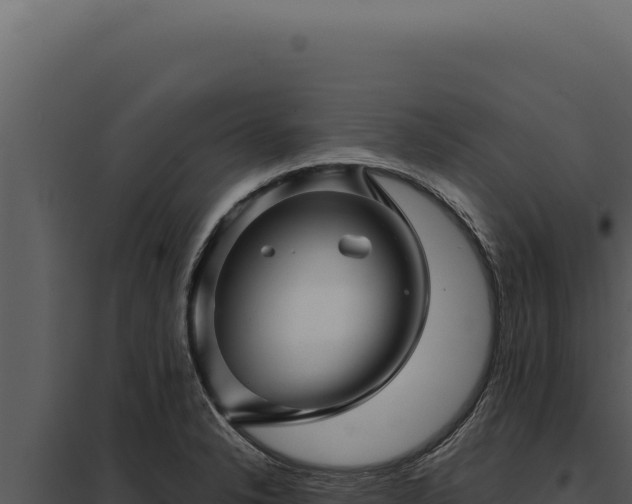 X0000097971326200804011711