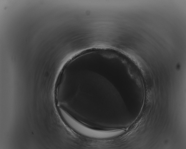 X0000097971327200804011711