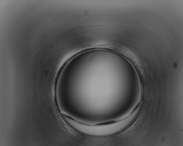 X0000097971328200804011711