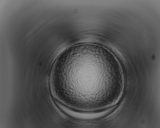 X0000097971329200804011711