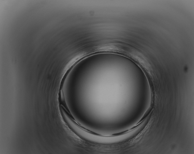 X0000097971330200804011711