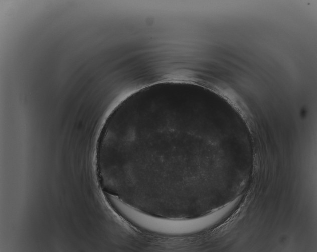 X0000097971331200804011711