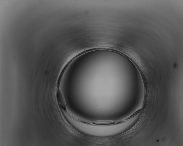 X0000097971332200804011711