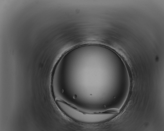 X0000097971333200804011711