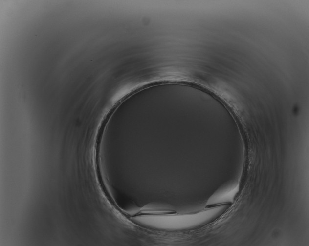 X0000097971334200804011711