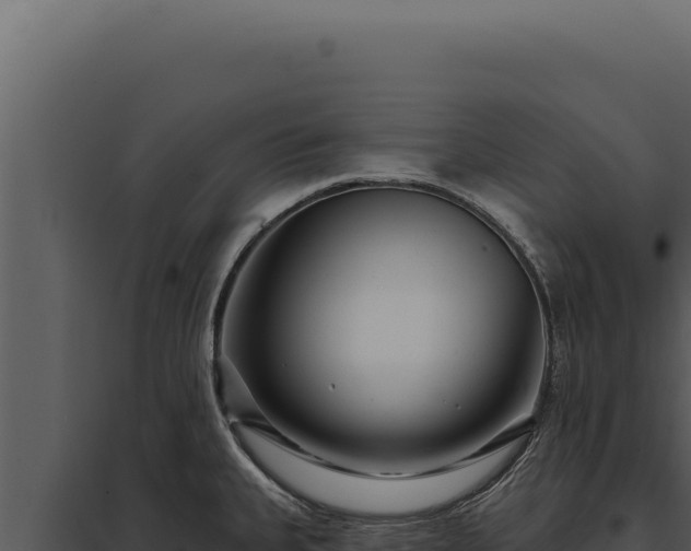 X0000097971335200804011711