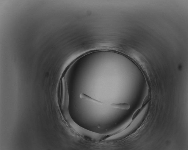 X0000097971336200804011711